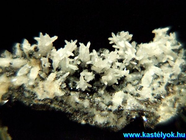 Zirc, Bakonyi Természettudományi Múzeum