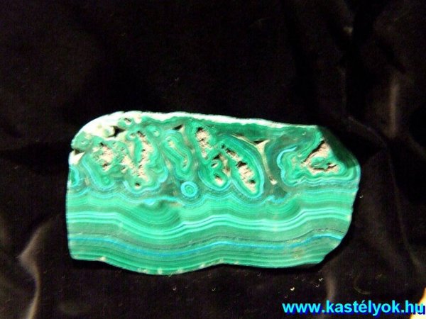 Zirc, Bakonyi Természettudományi Múzeum