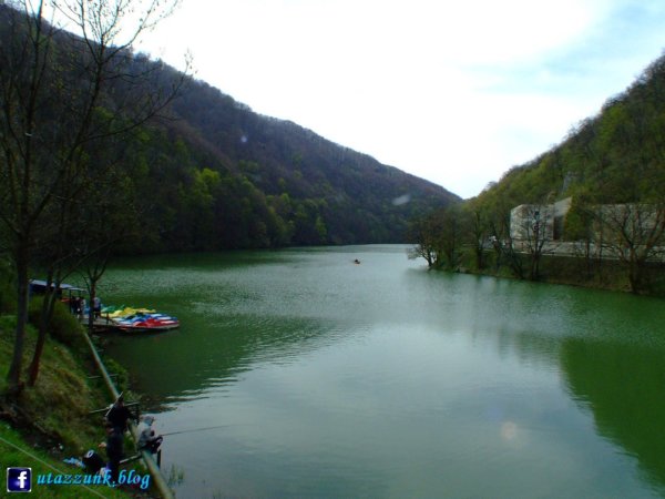 DSCF8831