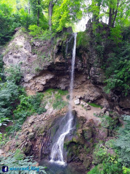 SAM_1372