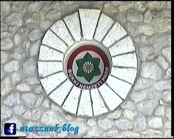 photo1