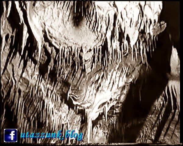 photo24