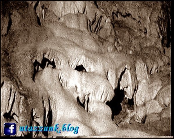 photo9