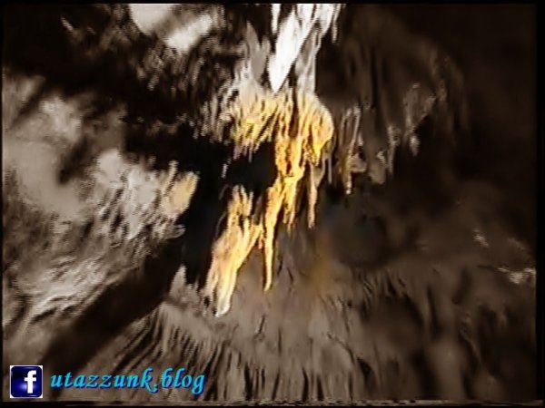 vlc-00033